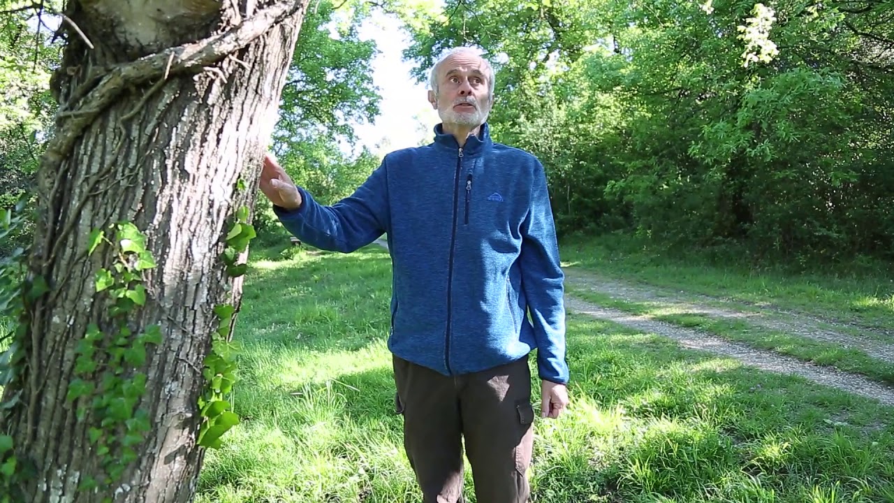 Charente : le parc François-1er, émeraude naturel de Cognac