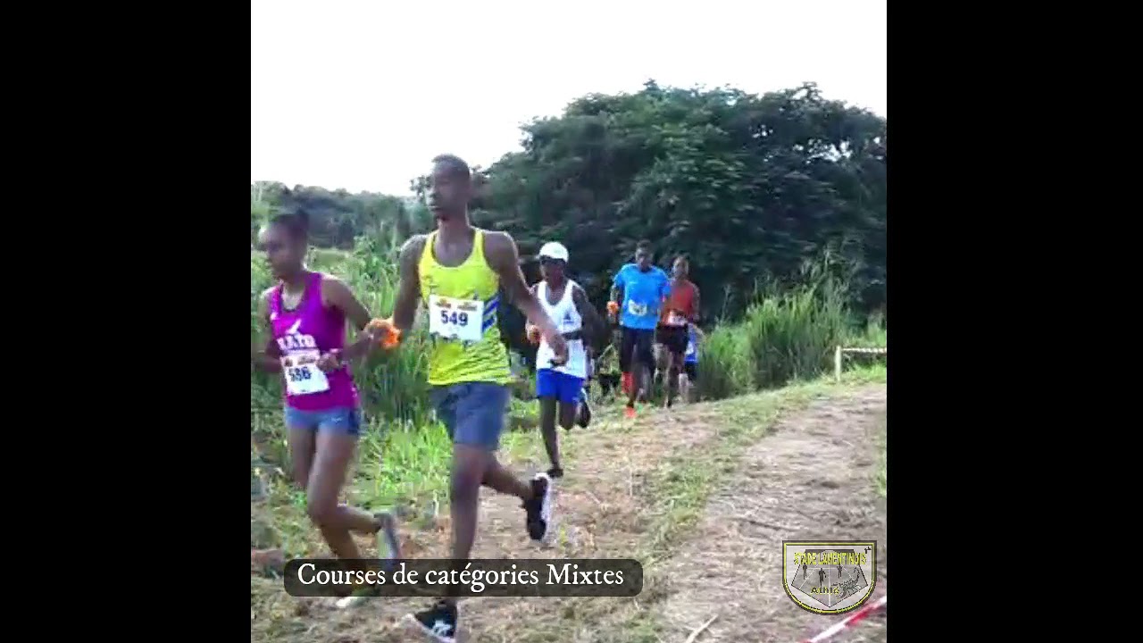 Animation Cross 2021